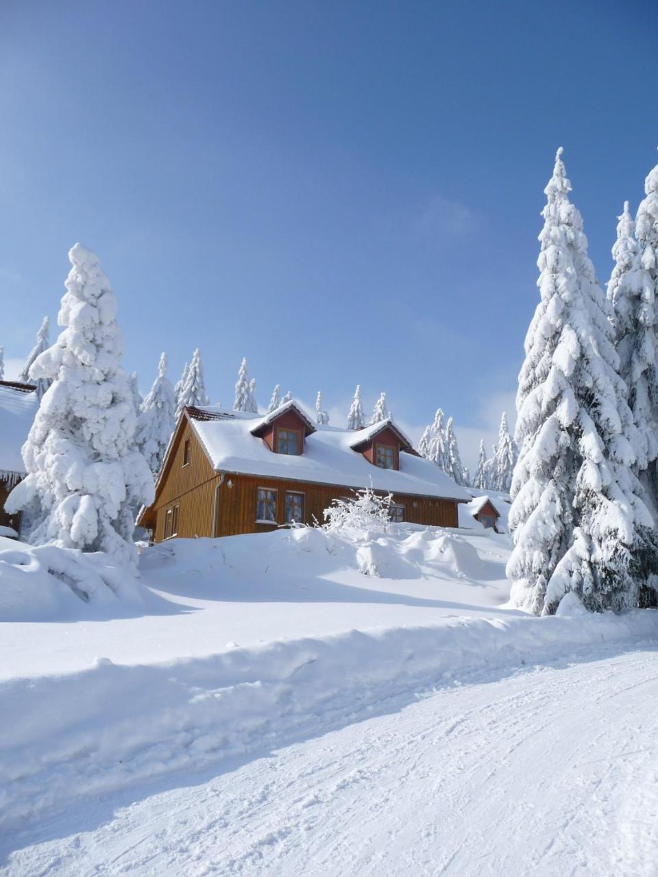 Hotel Und Berggasthof Spiessberghaus 腓特烈罗达 外观 照片