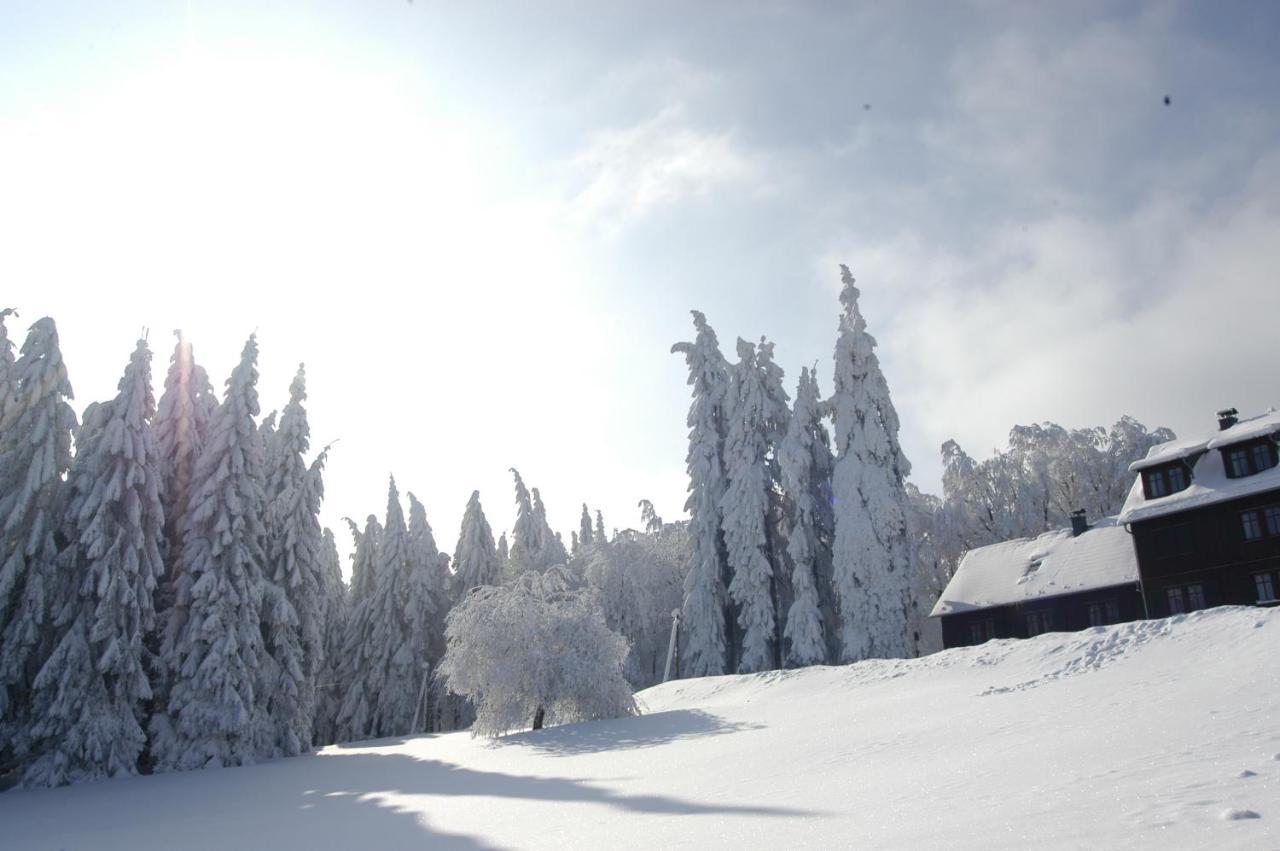 Hotel Und Berggasthof Spiessberghaus 腓特烈罗达 外观 照片